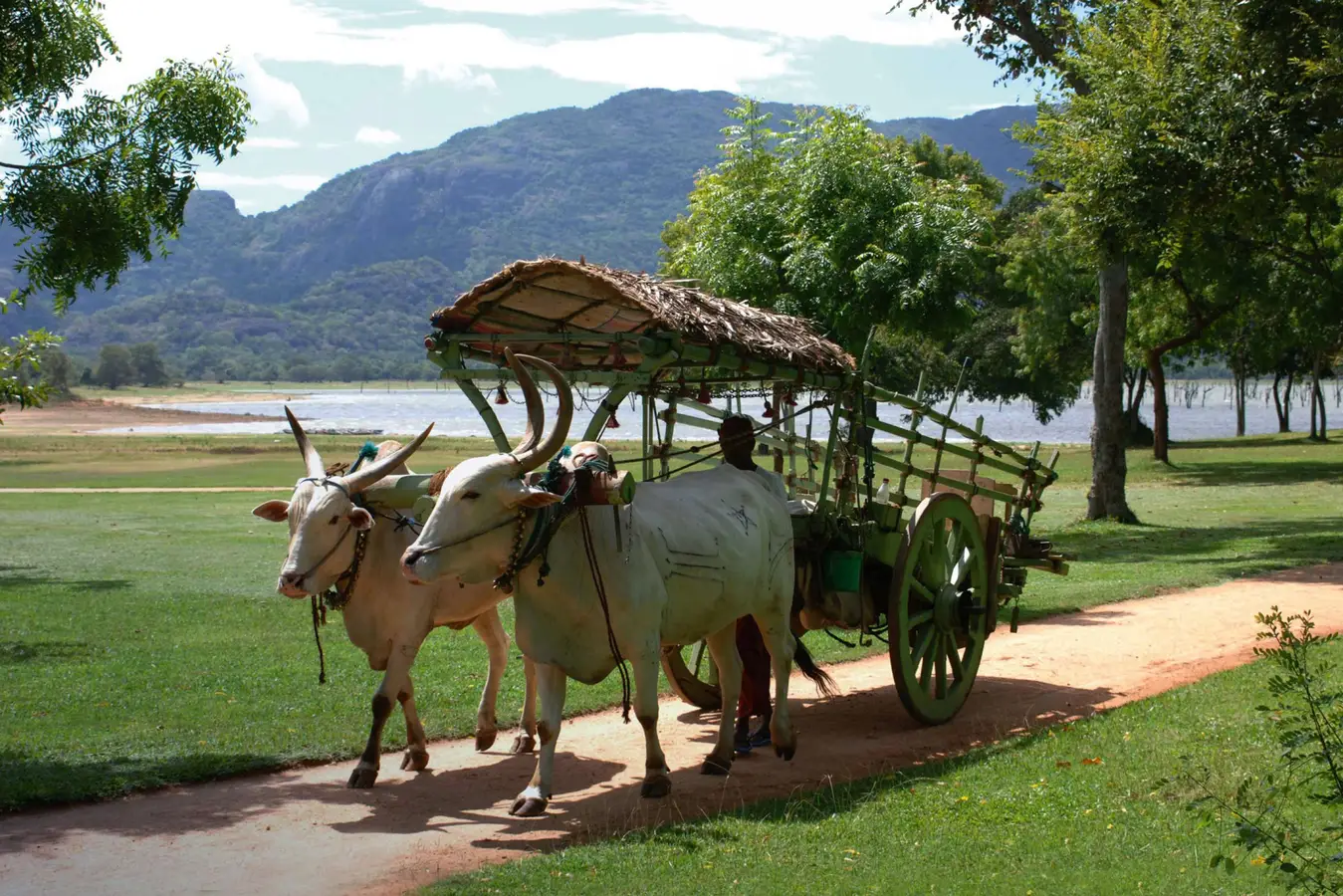 မွှေးပျံ့သော ပရဒိသုဥယျာဉ်